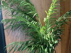 -新紫霞养生·影院足道·SPA(金山区店)