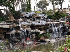 -东莞植物园