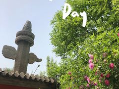 -北京石刻艺术博物馆(五塔寺)