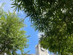 -荔湾湖公园