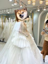 -衣贝姿婚纱礼服馆