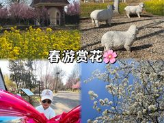 -济南植物园
