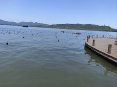 -西湖游船