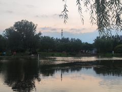 -太阳宫公园