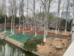 -大兴滨河森林公园