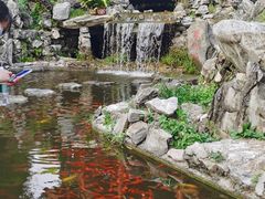 -红螺寺