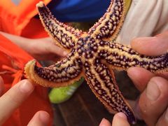 -东戴河风景区-止锚湾