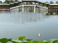 -西海子公园