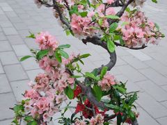 -陶然亭公园