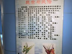 -上海昆虫博物馆