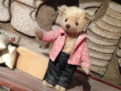 -济州岛泰迪熊博物馆