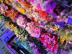 -花鸟鱼虫鲜花绿植市场(玉泉路店)