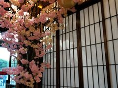 -尺山寸水日料(马桥满天星店)