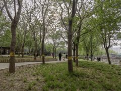 -莲花池公园