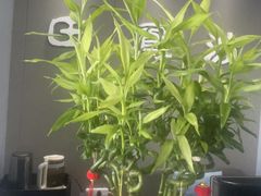 -田凤波推拿.按摩养生(幸福店)