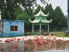 -秦皇岛野生动物园