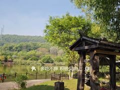 -梧桐庄园
