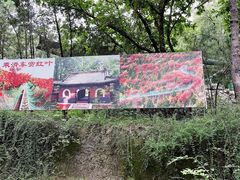 -红螺寺