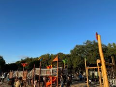 -大兴滨河森林公园