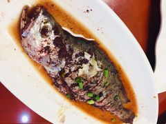 墨鱼-食鼎记海鲜大排档(美食街店)