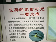 -上海昆虫博物馆