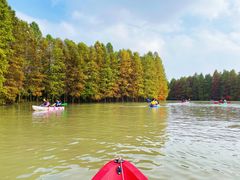 -上海海湾国家森林公园