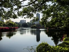 -深圳龙潭公园