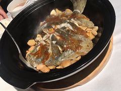 砂锅焗珊瑚鱼-炳胜品味(海印总店)
