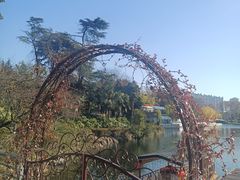 -听松楼-中餐厅.家宴(红梅公园店)