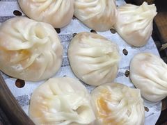 -莱莱小笼·乔艾