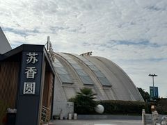 -丁老爷子苏香圆