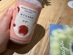 -gaga(深圳福田星河COCO Park店)