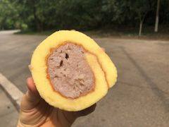 -紫金山山顶公园