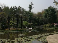 -曼听御花园