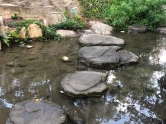 -罗三妹山