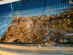 -星伦多自助料理·涮烤一体(杭州来福士店)