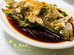 -浦江餐饮·上海菜馆(五四路店)