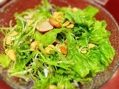 鲜桃仁拌苦菊-便宜坊烤鸭店(甜水园店)