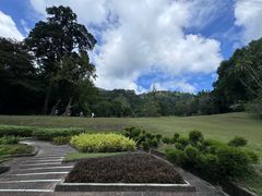 -槟城植物园