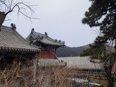 -潭柘寺景区