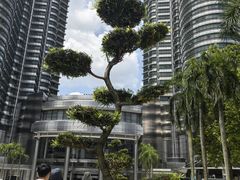 -吉隆坡国油双峰塔