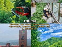 -紫藤园·天目湖大鱼头(南山竹海店)