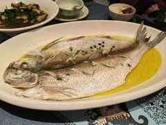 清蒸白鱼-四季暖堂·融合江浙菜(N1955创业园店)