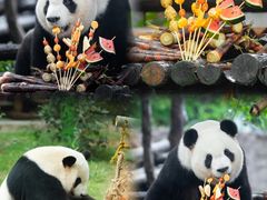 -灵玲国际马戏城