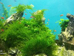 -多彩贵州城极地海洋世界