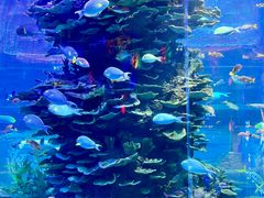 -泉城欧乐堡海洋极地世界