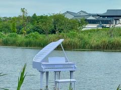 -杭州湾海上花田景区