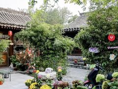 -巴巴新生活·四合院会议·疗愈团建.品牌活动