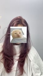 -V7 HAIR SALON烫发染发接发