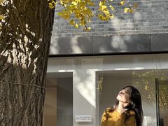 -自如ZSPACE四合院艺术餐厅